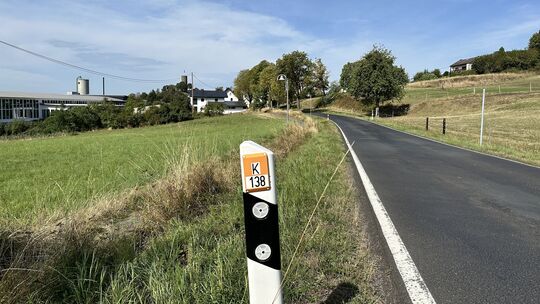 Wo die Kreisstraße 138 nach Hartenfels hineinführt, steht eine Reihe von Bäumen an denen sich schon mehrere schwere Verkehrsunfä
