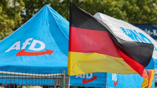 Wahlkampf der AfD