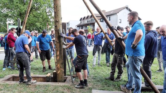 Das traditionelle Aufstellen des Kirmesbaumes gehört zu den Höhepunkten der Straßenhauser Kirmes. Nach dem Umzug zum Rummelplatz