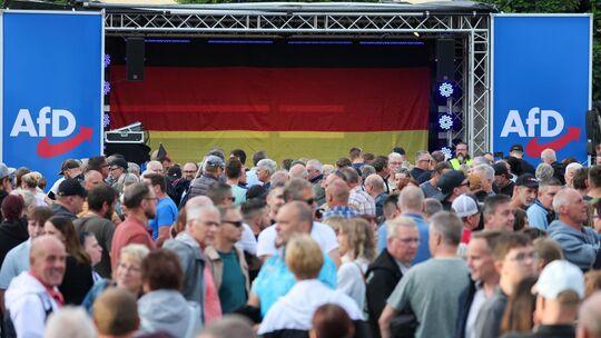 Wahlkampf Sachsen-Anhalt - AfD