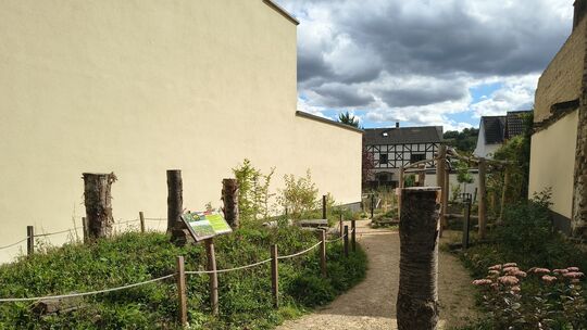 Bevor der mit Bundesgeldern finanzierte Piko-Park von der Stadt abgerechnet werden kann, muss ein Fachbüro erst noch eine Pflanz