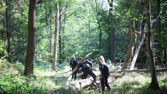 Strom-Sabotage: Suche nach Verdächtigem am Hambacher Forst