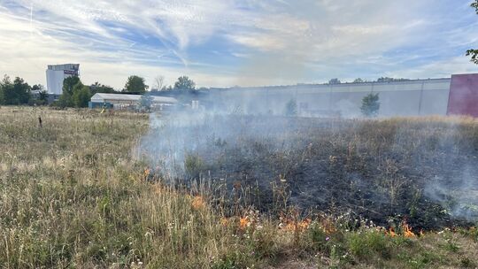 Zwischen dem Leonardo-Hotel und der Lagerhalle Firma Meffert stand eine Grasfläche in Brand. Zwischen dem Leonardo-Hotel und der Lagerhalle Firma Meffert stand eine Grasfläche in Brand.