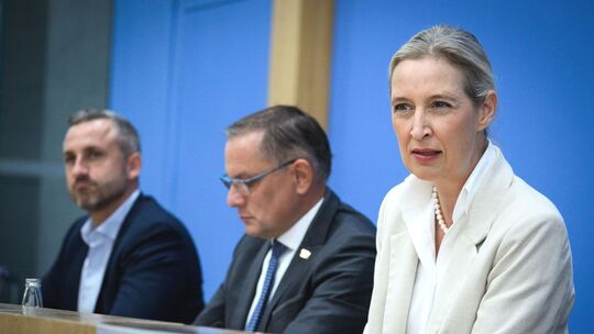 Nach der Landtagswahl in Sachsen-Anhalt - AfD