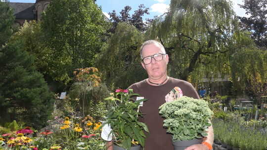 Angesagt ist eine Pflanzenvielfalt statt Monokultur, denn Pflanzen sind eine perfekte Klimaanlage im Garten“, sagt Fachmann Tors