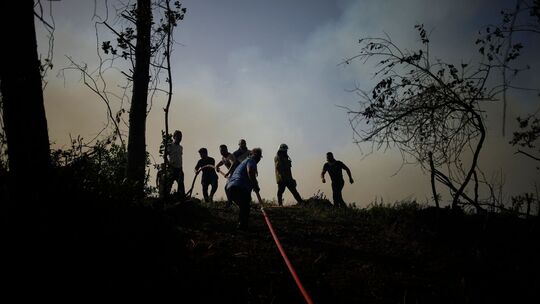 Waldbrände in der Türkei Waldbrände in der Türkei