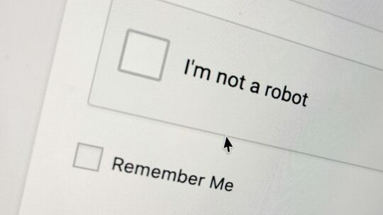 Captcha-Feld auf einer Website