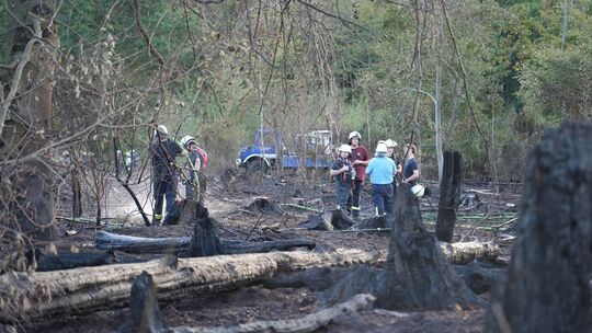 Waldbrand im Saarland Waldbrand im Saarland
