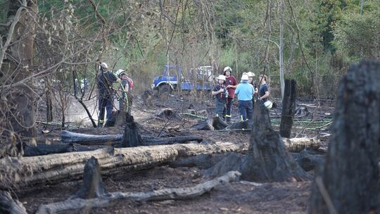 Waldbrand im Saarland