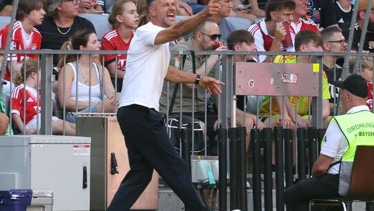 Martin Demichelis