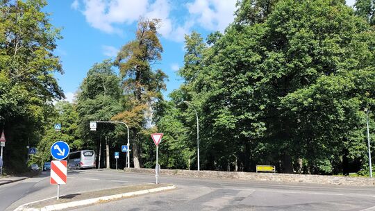 Über den möglichen Bau eines Verkehrskreisel am Hachenburger Burggarten wird derzeit heftig diskutiert. Auch eine Online-Petitio