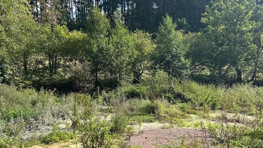 Bohrschlamm Roht bei Prüm 1 Bohrschlamm Roht bei Prüm 1