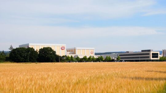 Ein Bild vergangener Tage: Auf der ehemaligen Ackerfläche vor dem Oetker-Werk in Wittlich stehen heute Photovoltaikmodule. Dort