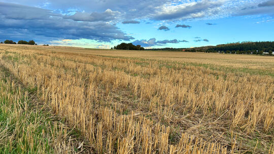 Düstere Wolken oder Hoffnungsschimmer am Horizont: Welcher Zukunft geht die Landwirtschaft im Kreis entgegem?