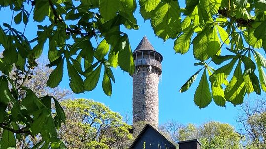 Der Wildenburgturm ist wegen Sicherheitsbedenken gesperrt, weitere Untersuchungen stehen noch aus.