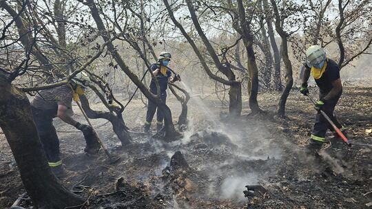 Der Waldbrand in der Vordereifel am 14. August 2026 hat Feuerwehren, Behörden und Anwohner tagelang in Atem gehalten. Der Waldbrand in der Vordereifel am 14. August 2026 hat Feuerwehren, Behörden und Anwohner tagelang in Atem gehalten.