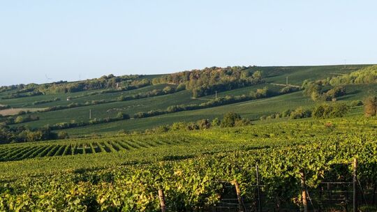 Wetter in Rheinland-Pfalz Wetter in Rheinland-Pfalz