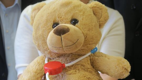 Bruno, der Bär, wird Vorschulkinder und Erstklässler einen Tag durch die Teddybären-Klinik begleiten.