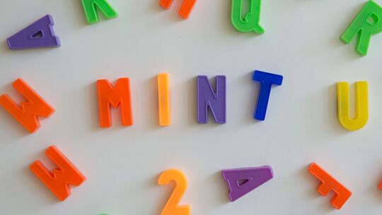 MINT MINT