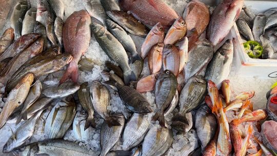 Frischer Fisch in Griechenland