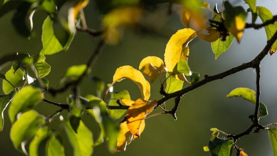 Schon am 1. September war meteorologischer Herbstanfang.