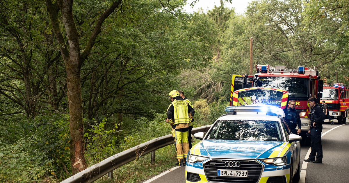 Two people die: Fatal traffic accident on the L169 near Heimbach