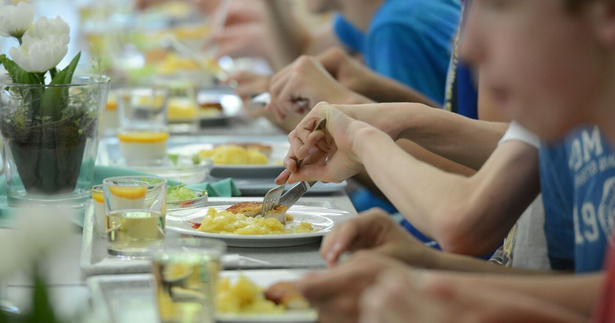 School meals in the Birkenfeld district: A meal now costs €5.08