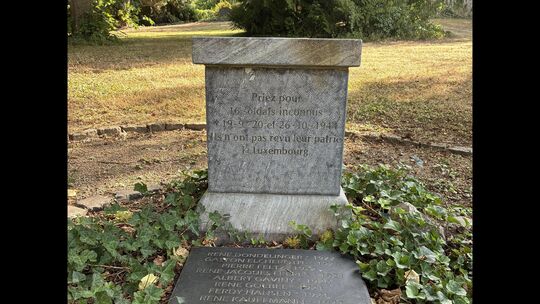 Bis das Denkmal in seiner heutigen Form realisiert werden konnte, ging fast ein Jahrzehnt ins Land. Bis das Denkmal in seiner heutigen Form realisiert werden konnte, ging fast ein Jahrzehnt ins Land.