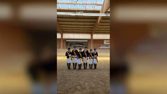 Die Mannschaft des RV Bissingen gewann in der Dressur das Championat des Bezirksverbandes Rhein-Westerwald. Die Mannschaft des RV Bissingen gewann in der Dressur das Championat des Bezirksverbandes Rhein-Westerwald.