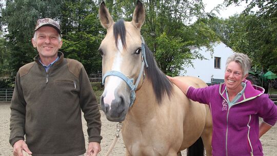 Nicole und Andreas Herrman züchten unter dem Label „Herrmann Quarter Horses“ Westernpferde.