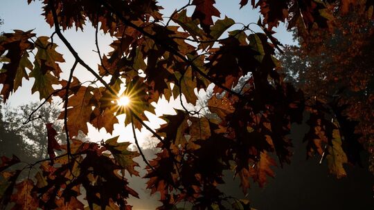 Was der Herbst mit unserem Körper macht Was der Herbst mit unserem Körper macht