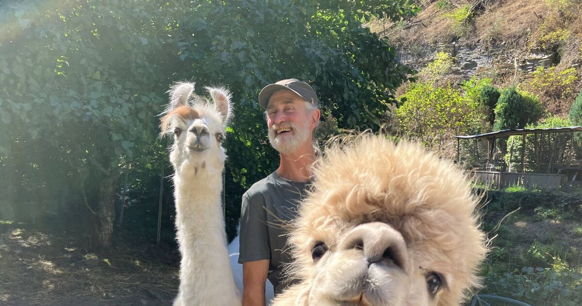 „Geschenk für die Seele“: Im Hotel an der Mosel „gefellt’s“ Lamas und ...
