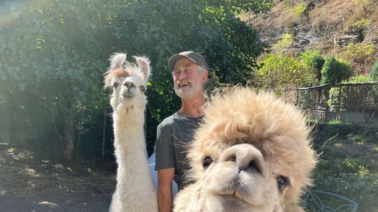 Hans-Hermann Kreth hat Lamas und Alpakas in Traben-Trarbach ein Zuhause gegeben.