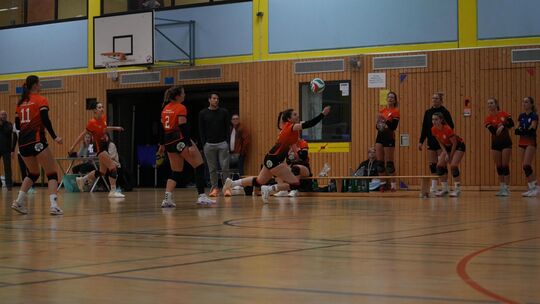 Die SG Koblenz-Maifeld Volleys spielt am Sonntag in der Polcher Maifeldhalle gegen Saarlouis.