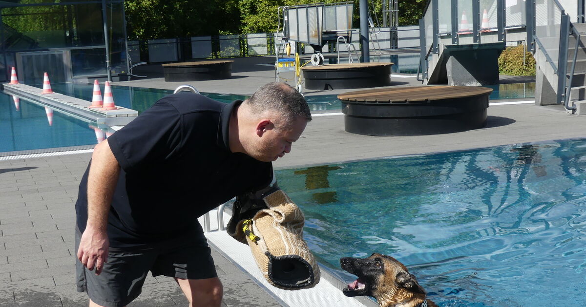 Training in Stromberg: Auch im Wasser ist auf Schutzhunde der Polizei ...
