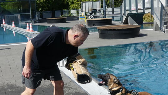 Aus dem Becken kommend geht dieser Malinois direkt auf Ausbilder Markus Ruelius zu.