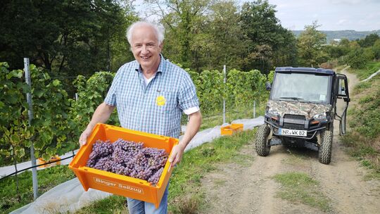 Karsten Keune freut’s: Der erste von vier Weinlesetermine im Jahr bescherte reiche Ernte am zweiten Septemberwochenende. Dunkle Karsten Keune freut’s: Der erste von vier Weinlesetermine im Jahr bescherte reiche Ernte am zweiten Septemberwochenende. Dunkle