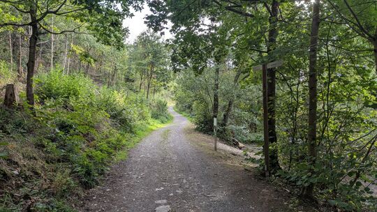 Der Schotterweg zwischen Brachbach und Mudersbach war letztens Thema im VG-Rat Kirchen. Das Thema: Siegtalradweg. Der Schotterweg zwischen Brachbach und Mudersbach war letztens Thema im VG-Rat Kirchen. Das Thema: Siegtalradweg.