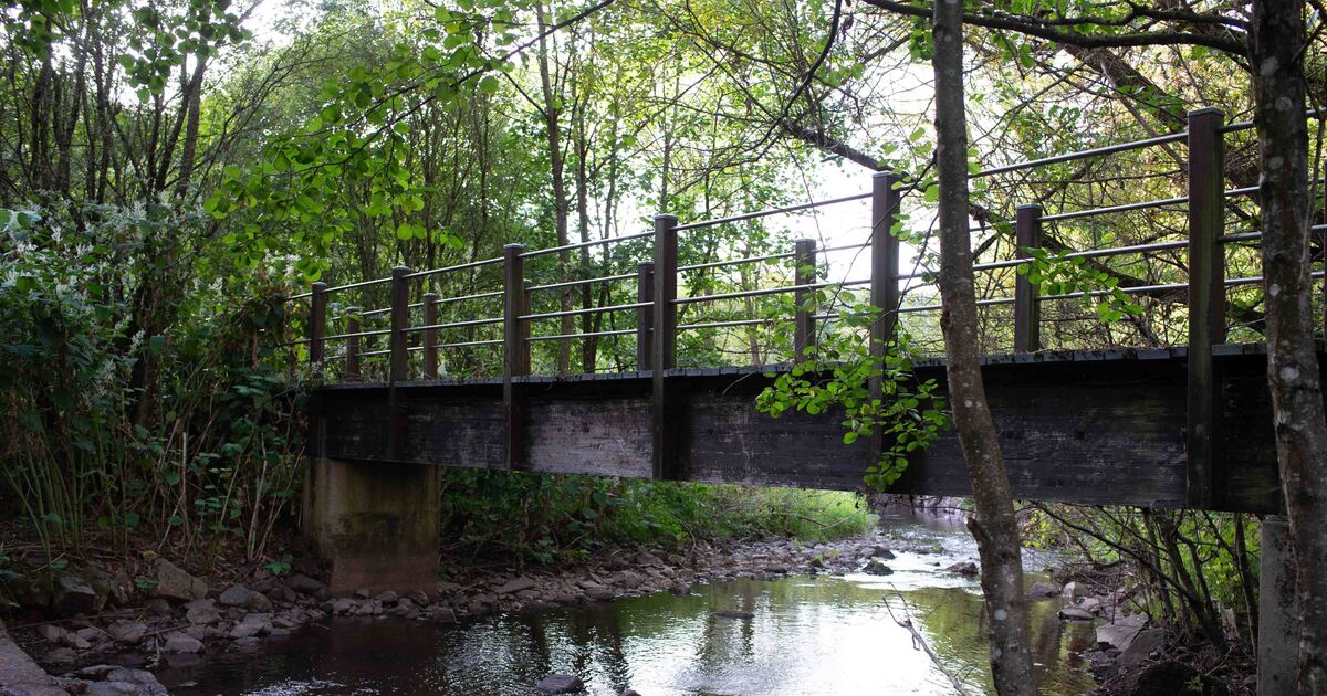 Baumholder Works Committee: Wooden bridge at Nahesteig to be rebuilt in ...