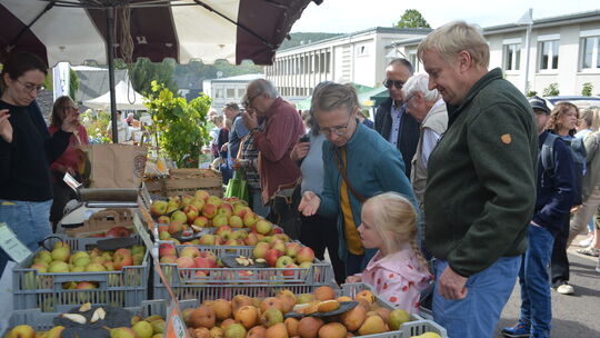 Heimisches Obst zog beim Bauernmarkt groß und klein an.