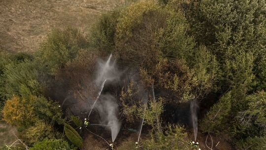 Die Feuerwehren aus Kirschweiler, Hettenrodt, Mackenrodt, Herrstein und die Wache 2 aus Tiefenstein bekämpften den Waldbrand in