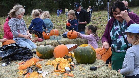 Auch beim Aushöhlen der Kürbisse für das anstehende Halloween war viel los