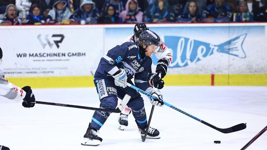 Artjom Alexandrov und die Neuwieder Bären gingen nach der Auftaktniederlage gegen die Füchse Duisburg auch beim Oberliga-Schwerg