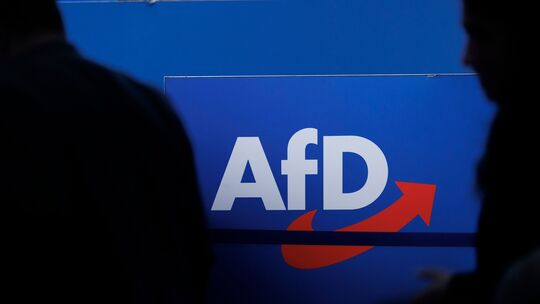Ein halbes Jahr nach der Landtagswahl schrumpft die zu Beginn der Wahlperiode gewachsene AfD-Landtagsfraktion von 24 auf 23 Mitg Ein halbes Jahr nach der Landtagswahl schrumpft die zu Beginn der Wahlperiode gewachsene AfD-Landtagsfraktion von 24 auf 23 Mitg