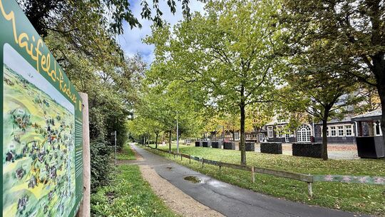 Der Maifeld-Radweg verläuft auf den Trassen der stillgelegten Eisenbahn zwischen Münstermaifeld, Polch, Ochtendung und Mayen. Der Maifeld-Radweg verläuft auf den Trassen der stillgelegten Eisenbahn zwischen Münstermaifeld, Polch, Ochtendung und Mayen.