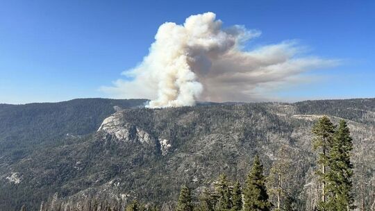Waldbrände in den USA Waldbrände in den USA