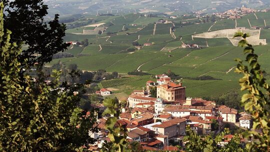 Blick auf Barolo Blick auf Barolo