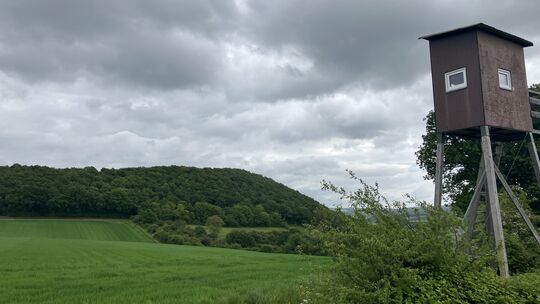 Vor rund 150.000 Jahren formte vulkanische Aktivität den Bausenberg. Sein Lavastrom erstreckt sich von Niederzissen über Waldorf