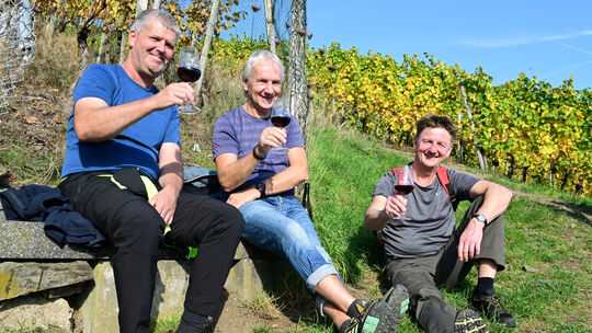 Wenn September und Oktober sonnig werden, zieht es sicher wieder viele Weingenießer und Wanderer zum Weinherbst an die Mittelahr