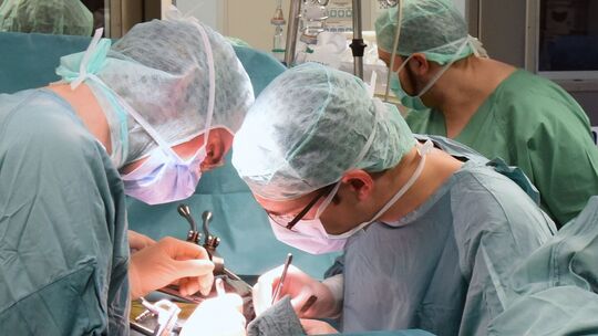 Organspende